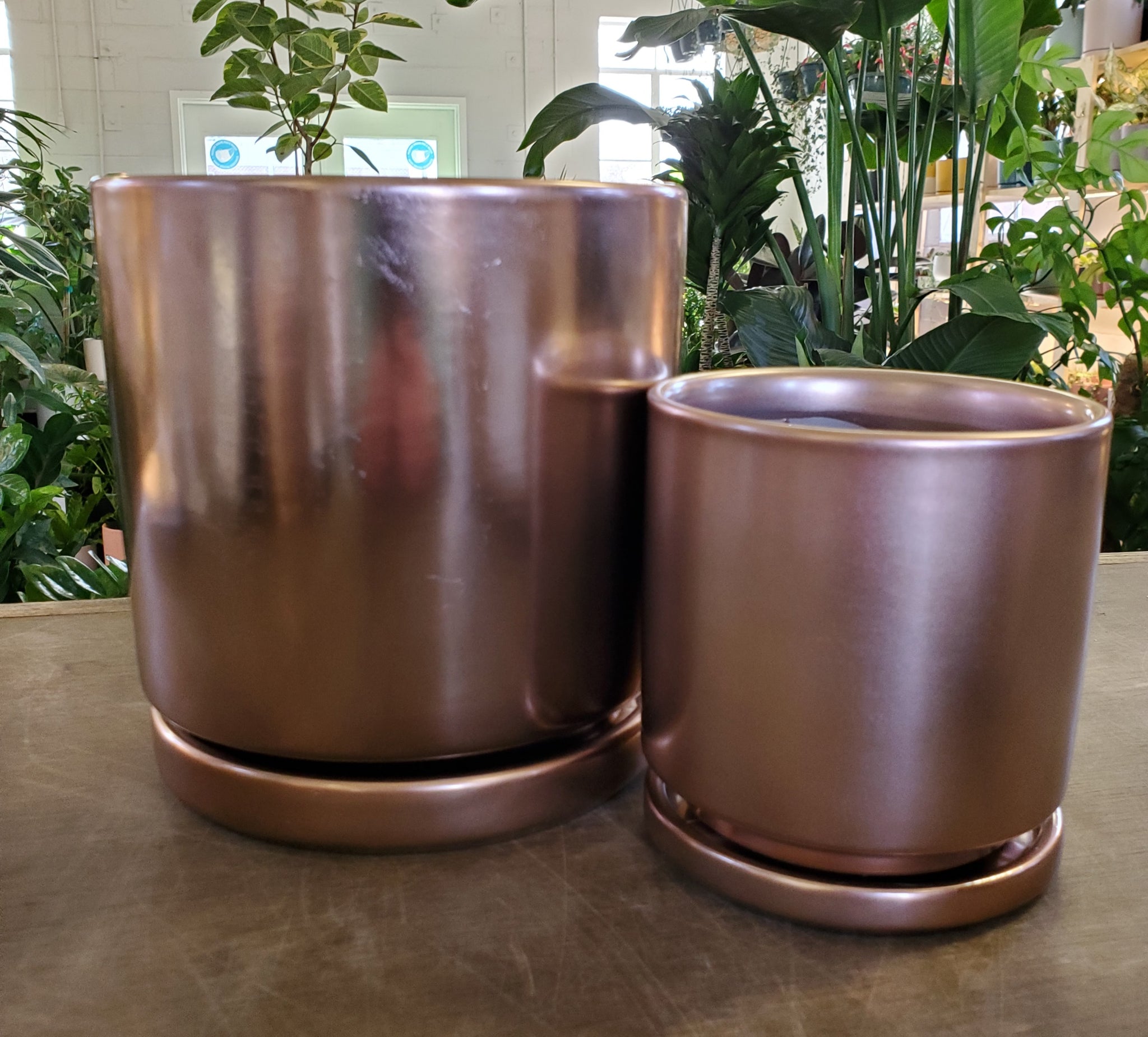 plant pot rose gold 5" Cache Pot & Flower Vase Rose Gold