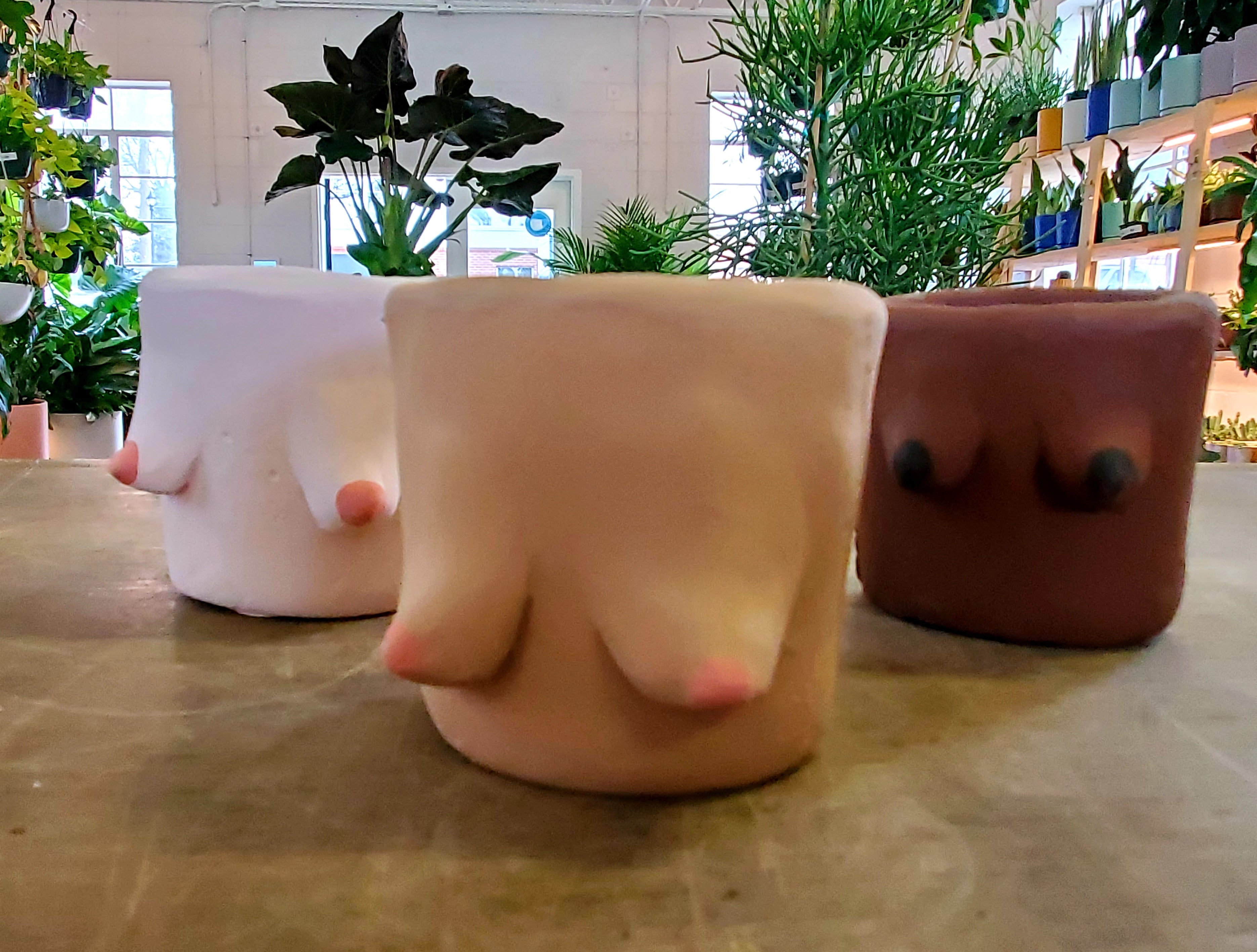 plant pot with boobs Clay Tits Pots – Lush Plant Co. Decatur