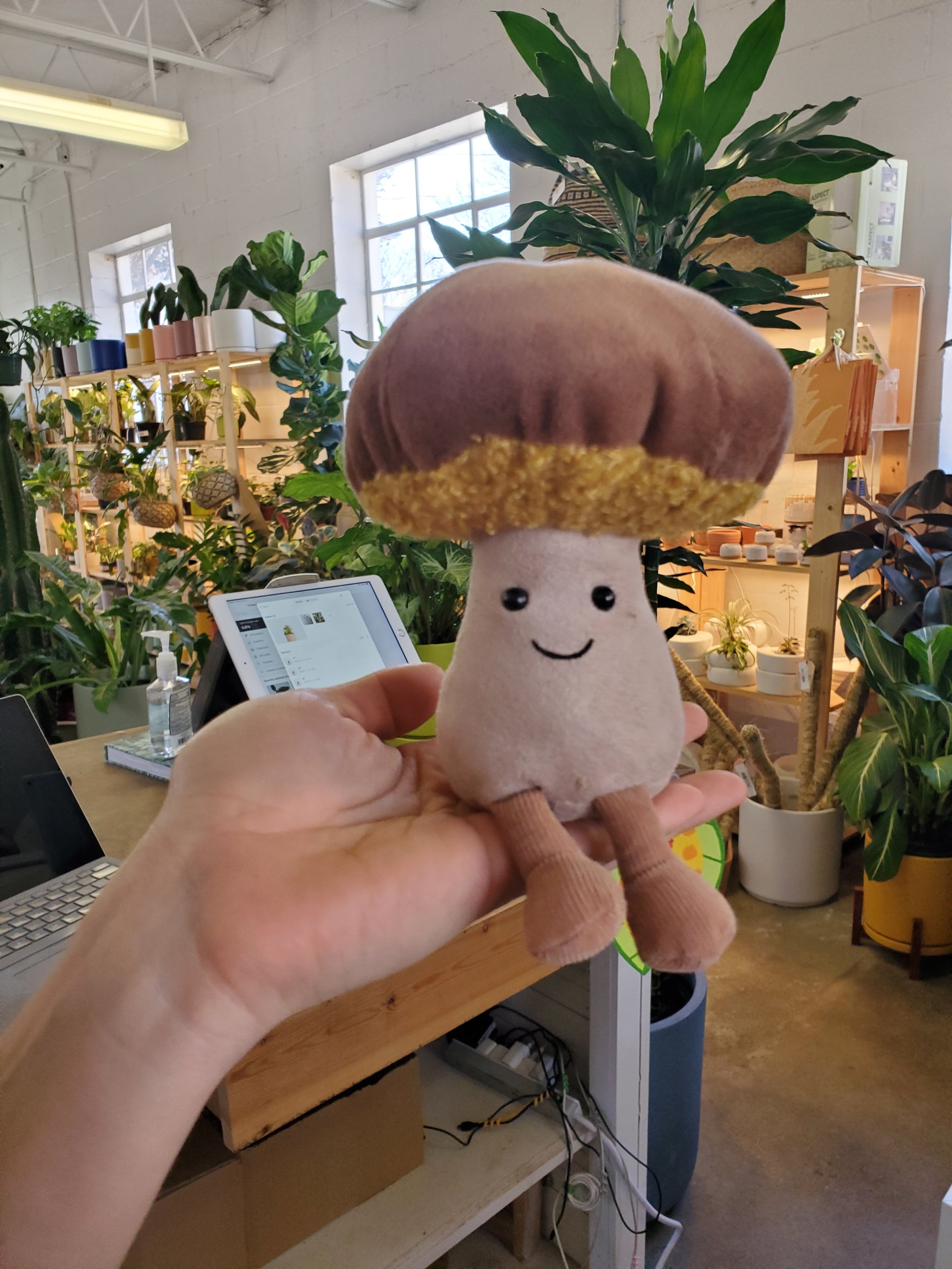 Jellycat Amuseable Toadstool – Lush Plant Co. Decatur