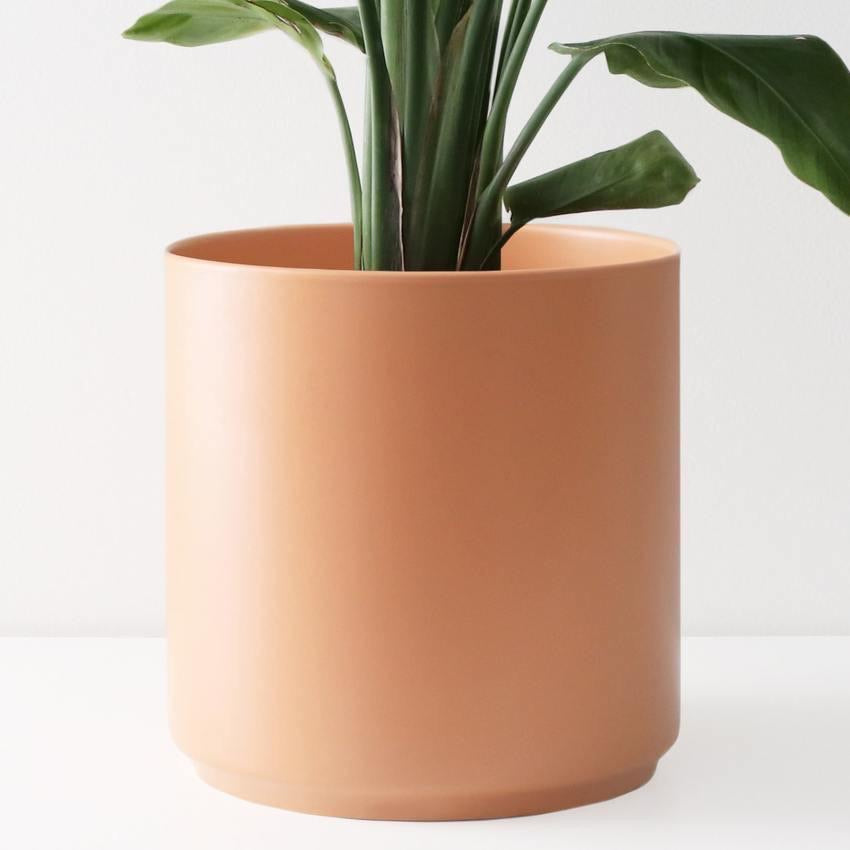 Peach & Pebble Ceramic Cylinder Planter - Peach – Lush Plant Co. Decatur