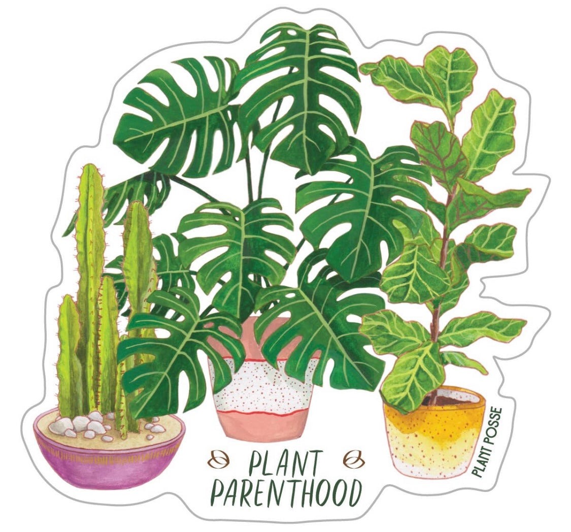 Plant Stickers – Lush Plant Co. Decatur