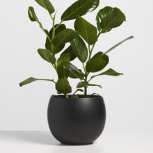 Load image into Gallery viewer, Peach &amp; Pebble Sphere Planter - Black
