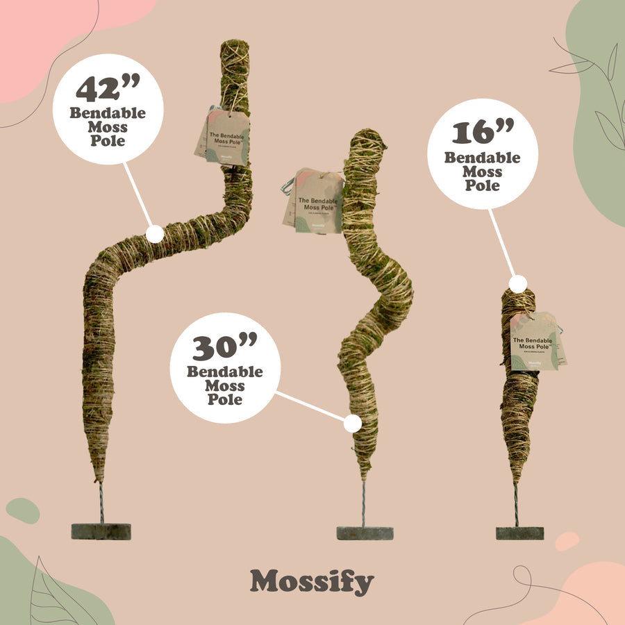 Mossify Bendable Moss Pole