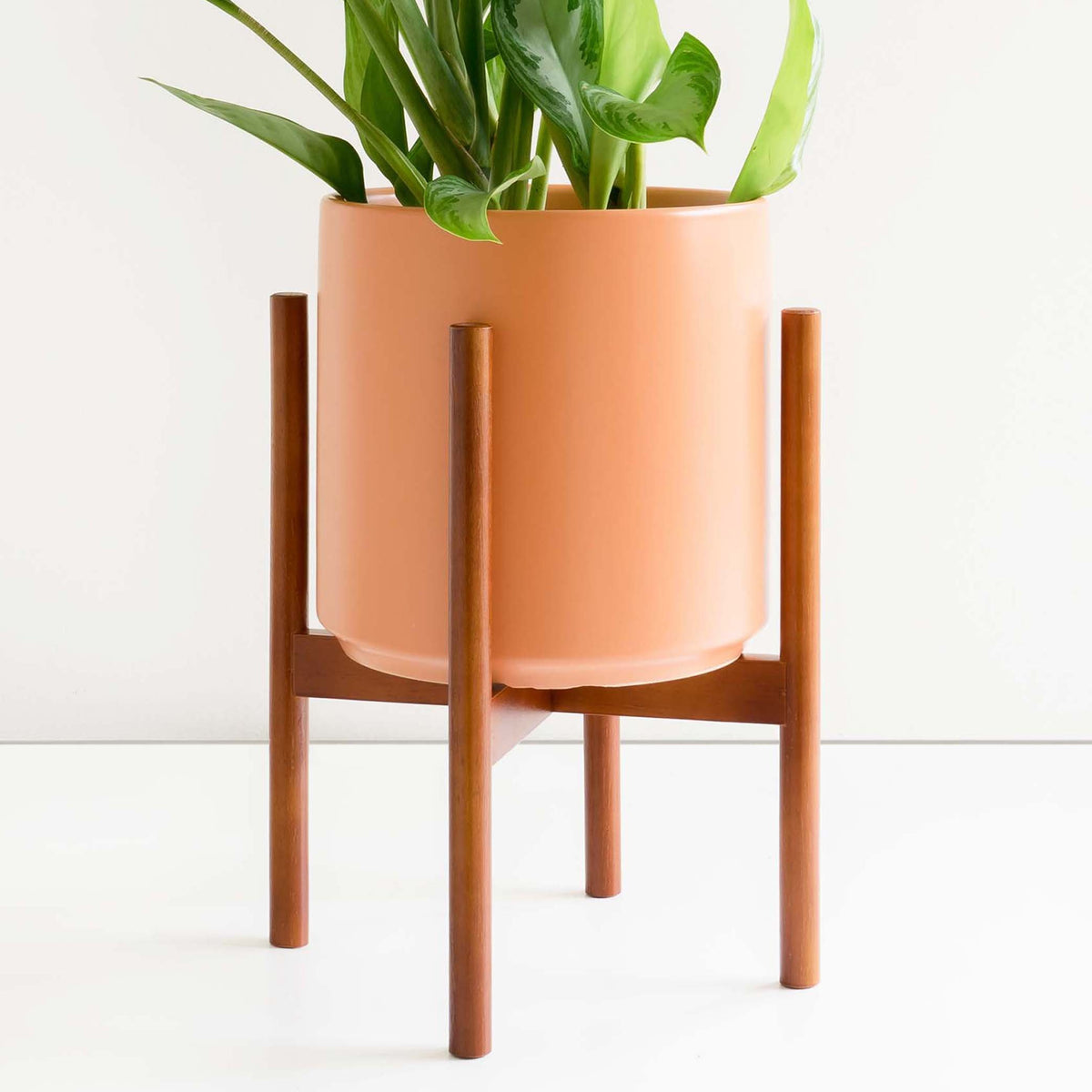 P & P Cylinder Stand - Walnut – Lush Plant Co. Decatur